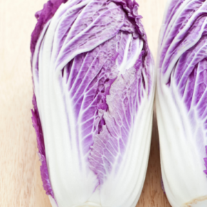 Fresh Chinese cabbage with vibrant green leaves